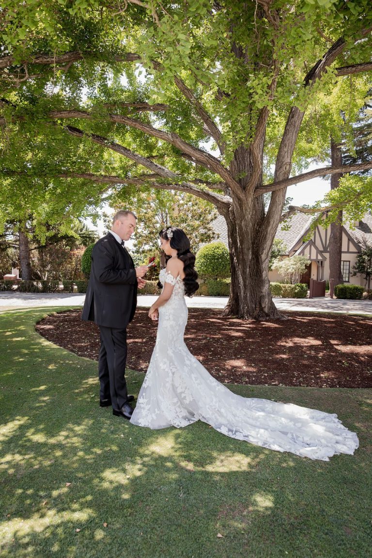 Couple embracing under large tree, gown train sweeping